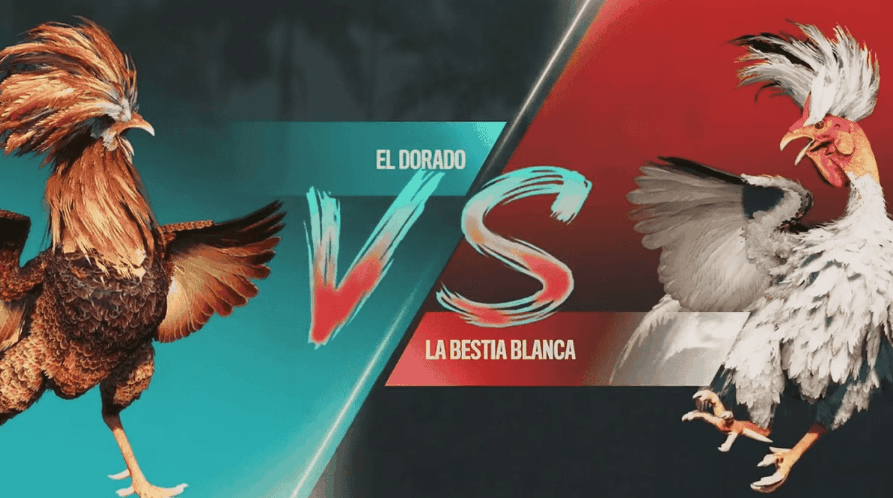 98a Esportes Digitais e Jogos Exclusivos